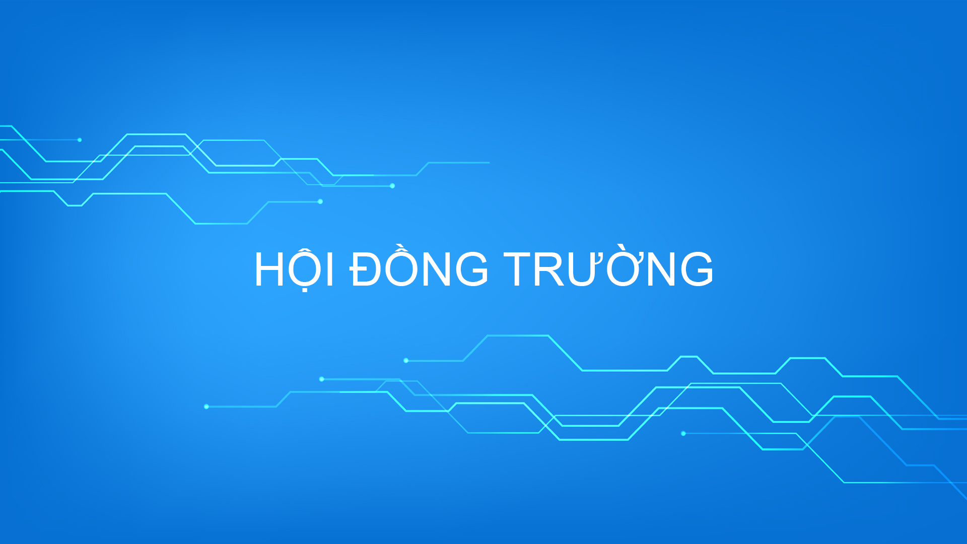 HOI DONG TRUONG 2